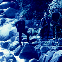 The Raymen, 1985